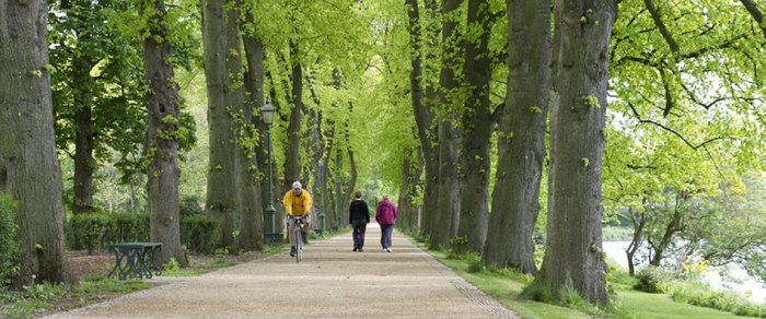 Tree-lined path through Avenham Park above the River Ribble in Preston
