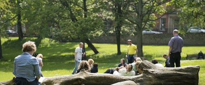 People sitting on the grass in a town park, a fallen tree trunk across the foreground and buildings visible through the trees