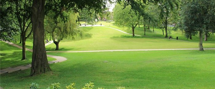 Mown parkland with mature trees under an open sky