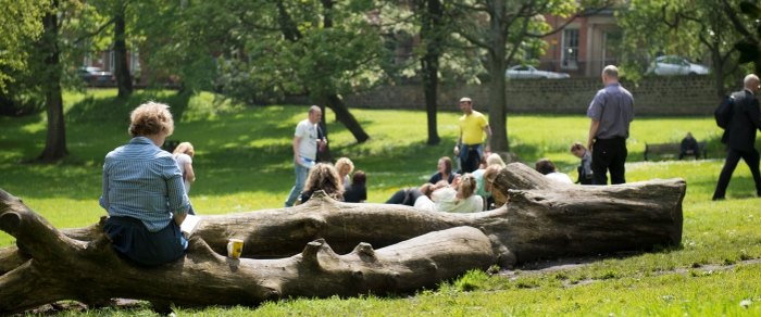 People sitting on the grass among mature trees in a Preston park